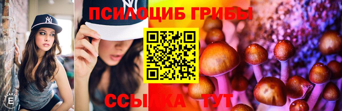 Псилоцибиновые грибы Cubensis Протвино